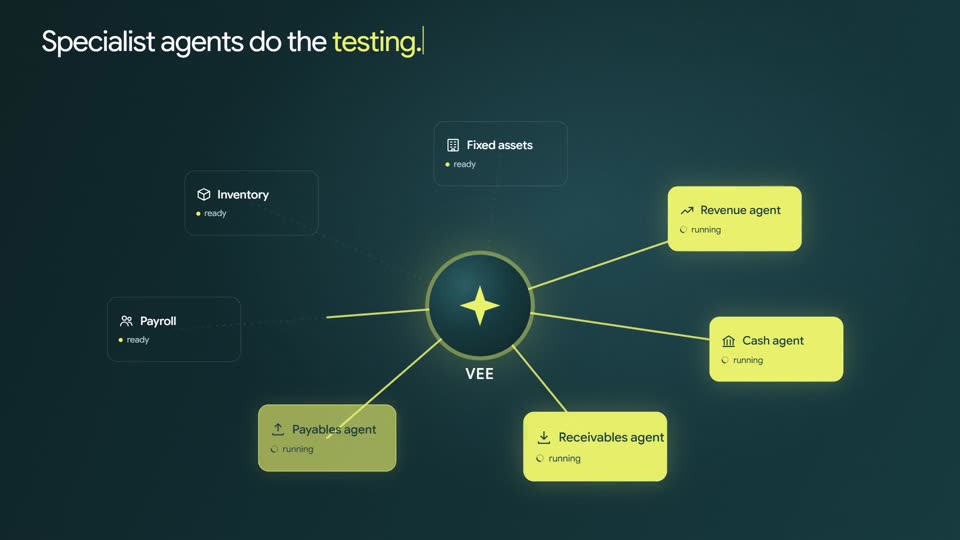 Specialist agents for revenue, cash, receivables and payables doing the testing