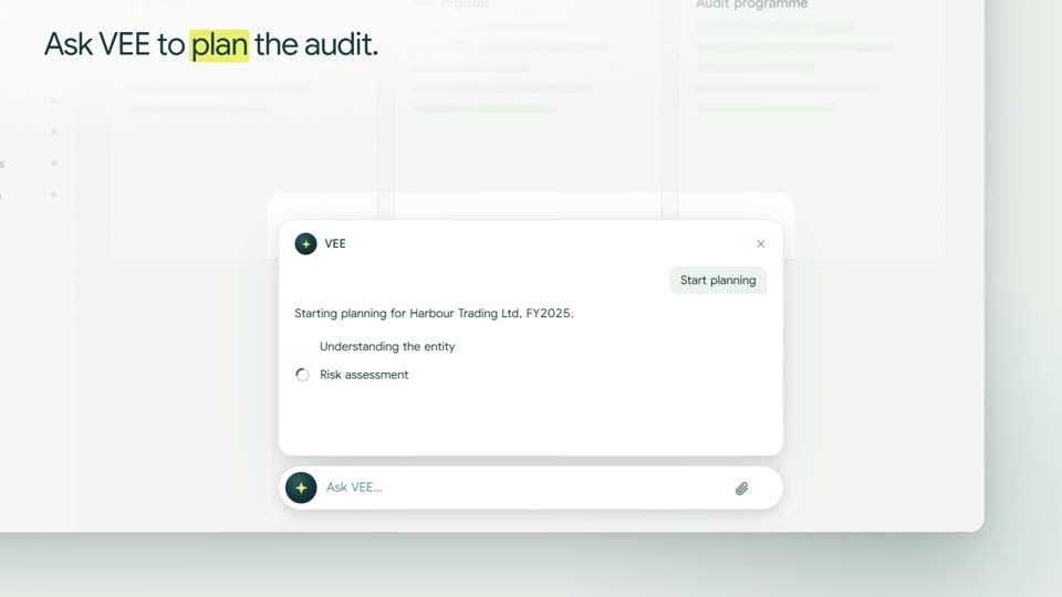 Asking VEE to plan the audit